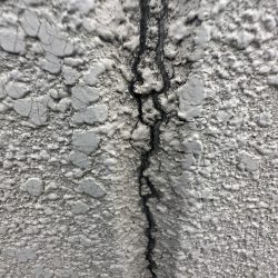 この様な状態を目にしませんかご相談を